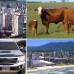 Intendentes-0000 (3)